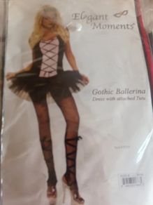 Fancydress Ladies Costume