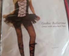 Fancydress Ladies Costume