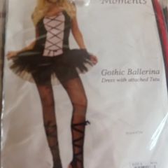 Fancydress Ladies Costume
