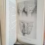 The Stones of Venice (Volume Three) by John Ruskin (GT858) Image 4
