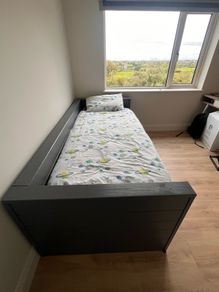 bed