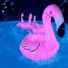 curious20