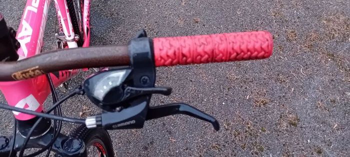 Bargin Mountain Bike