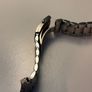 omega speedmaster professional bracelet (2020) Image 10