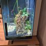 Aquarium Fish tank Image 2