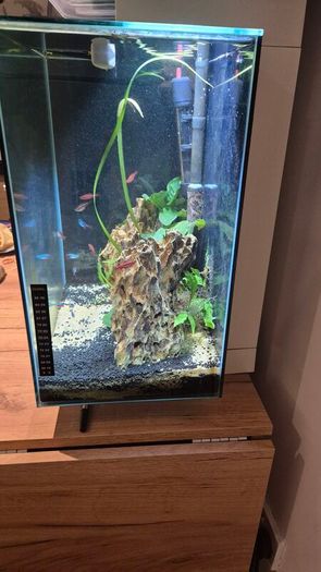 Aquarium Fish tank