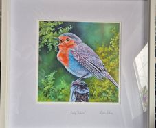 Baby Robin | FineArt Print | framed