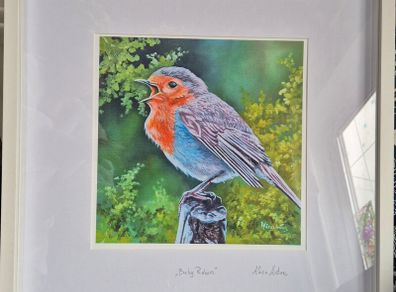 Baby Robin | FineArt Print | framed