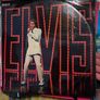 Elvis vinyl bundle Image 10