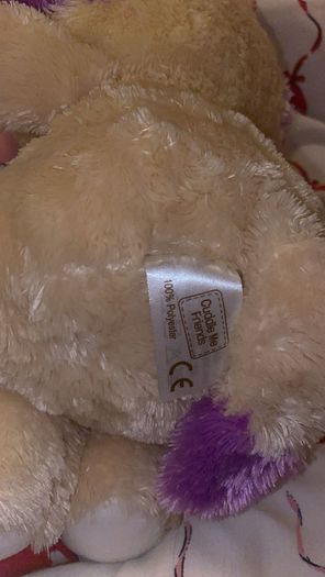 Cute cat teddy