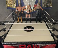 WWE action figures