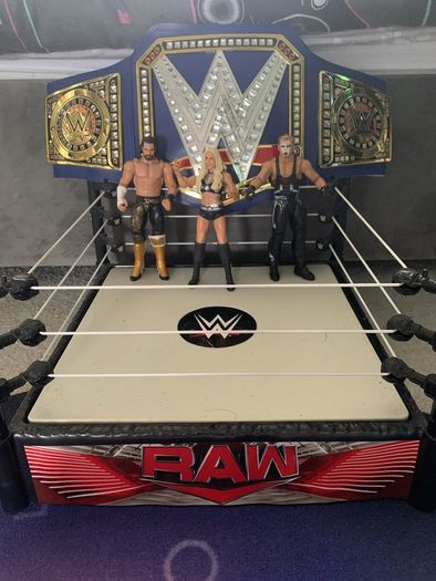 WWE action figures