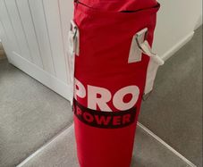 Punch bag and pair of boxing gloves