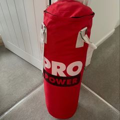 Punch bag and pair of boxing gloves