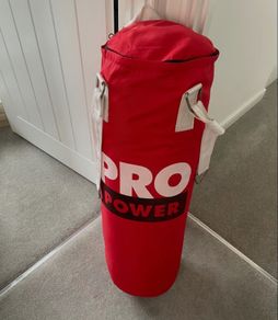 Punch bag and pair of boxing gloves