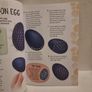 Rock Craft. Image 5
