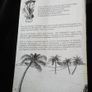Sin Embargo by Ardle McArdle. Image 2