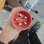 twin dust extractor Image 6