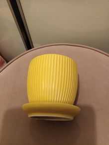 Yellow ribbed plant pot