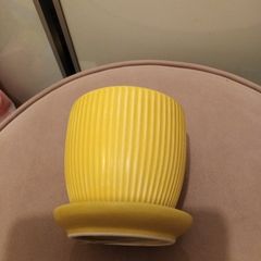 Yellow ribbed plant pot