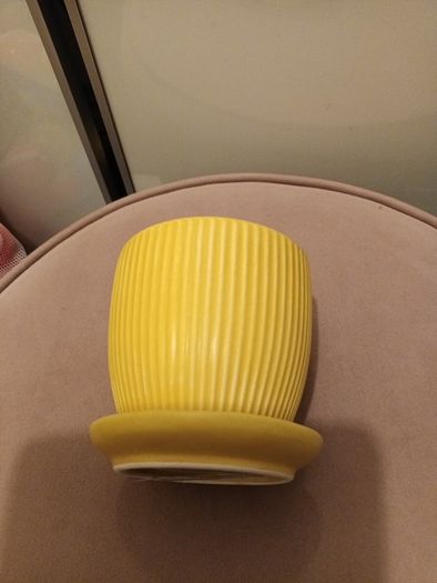 Yellow ribbed plant pot