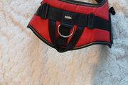 Nobby dog harness