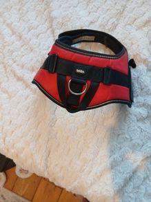 Nobby dog harness