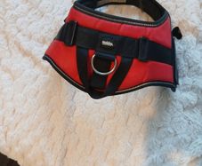 Nobby dog harness
