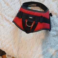 Nobby dog harness