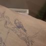 Luxury Cushion Image 3