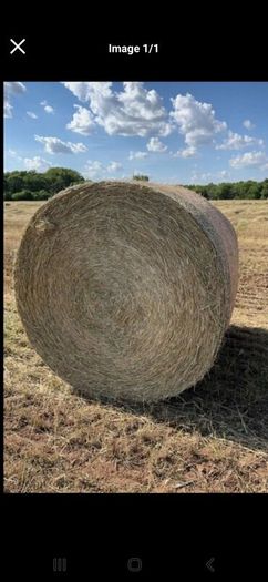 Hay for sale