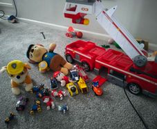 paw patrol