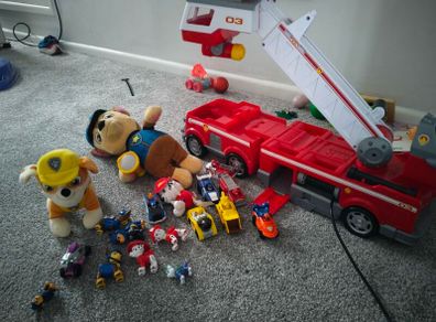 paw patrol