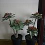Ikea Plant decor Image 5