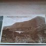 17 X Early 20th Century Irish Postcards Image 3