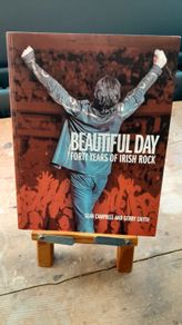 Beautiful Day - Forty Years of Irish Rock