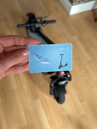 Pro Electric Scooter