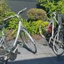Bikes male and female adult size Image 6