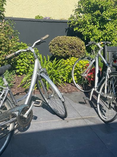 Bikes male and female adult size
