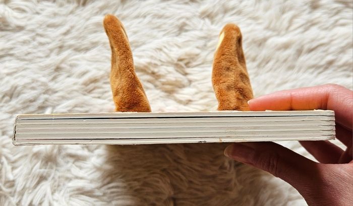 Huge Me Little Bear Finger Puppet Book