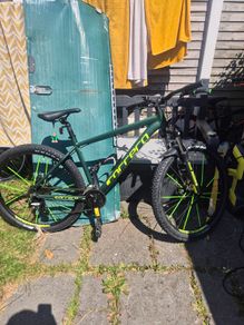 Pedal bike