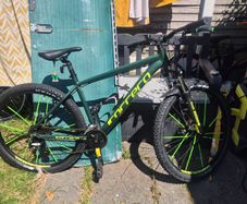 Pedal bike