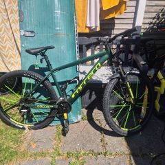 Pedal bike