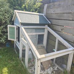 Bird house
