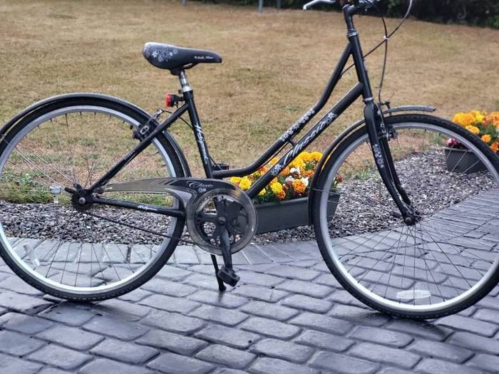 Ladies Bike single speed No Messy Gears