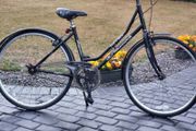Ladies Bike single speed No Messy Gears