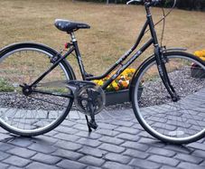 Ladies Bike single speed No Messy Gears