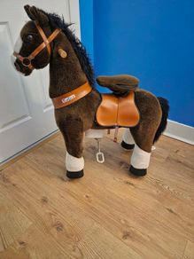 pony cycle