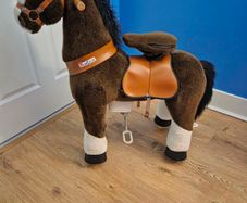 pony cycle