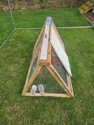 rabbit hutch & enclosure